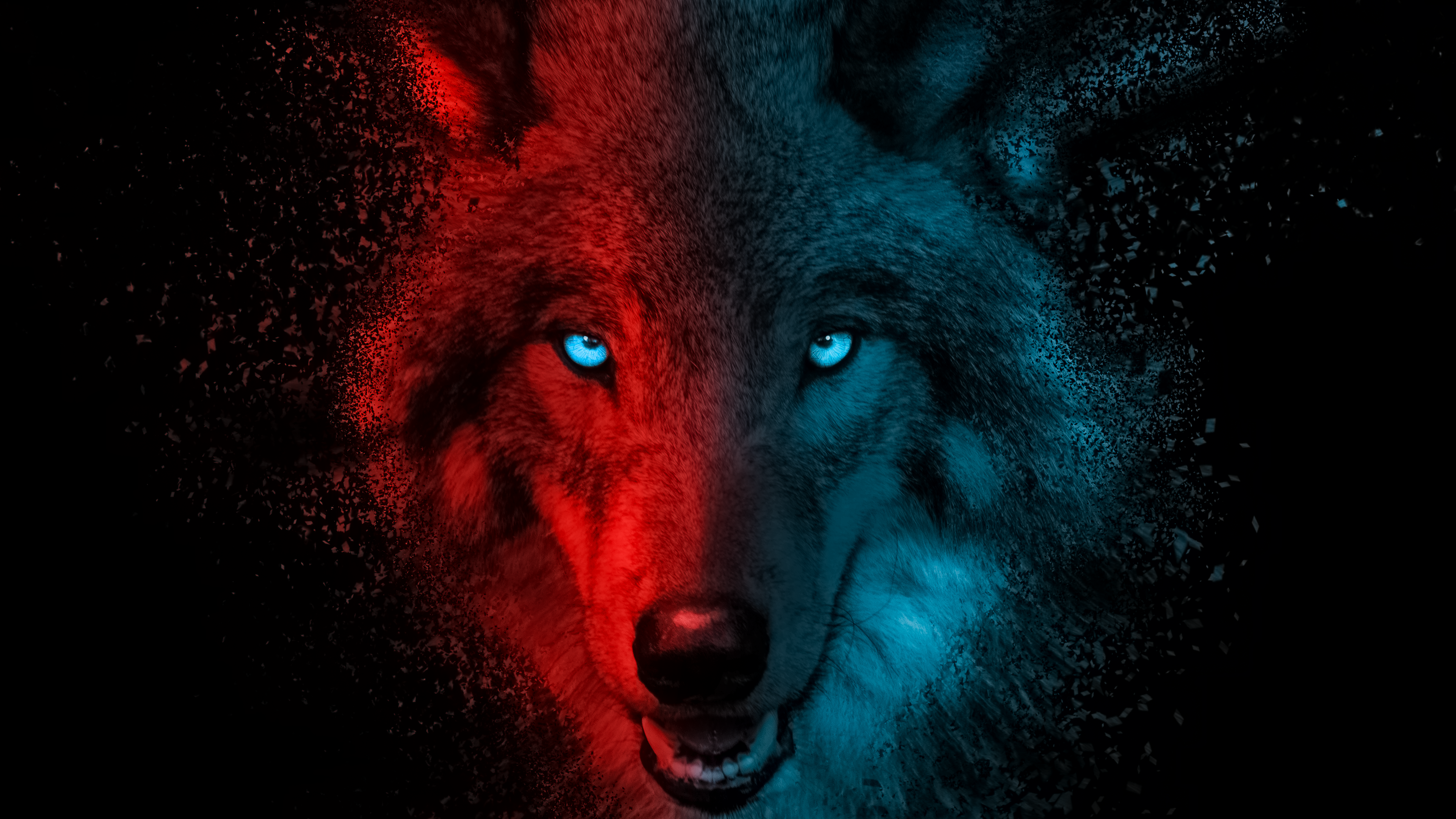 Wolf Wallpaper 4K, Scary, Gradient, Animals, #4779