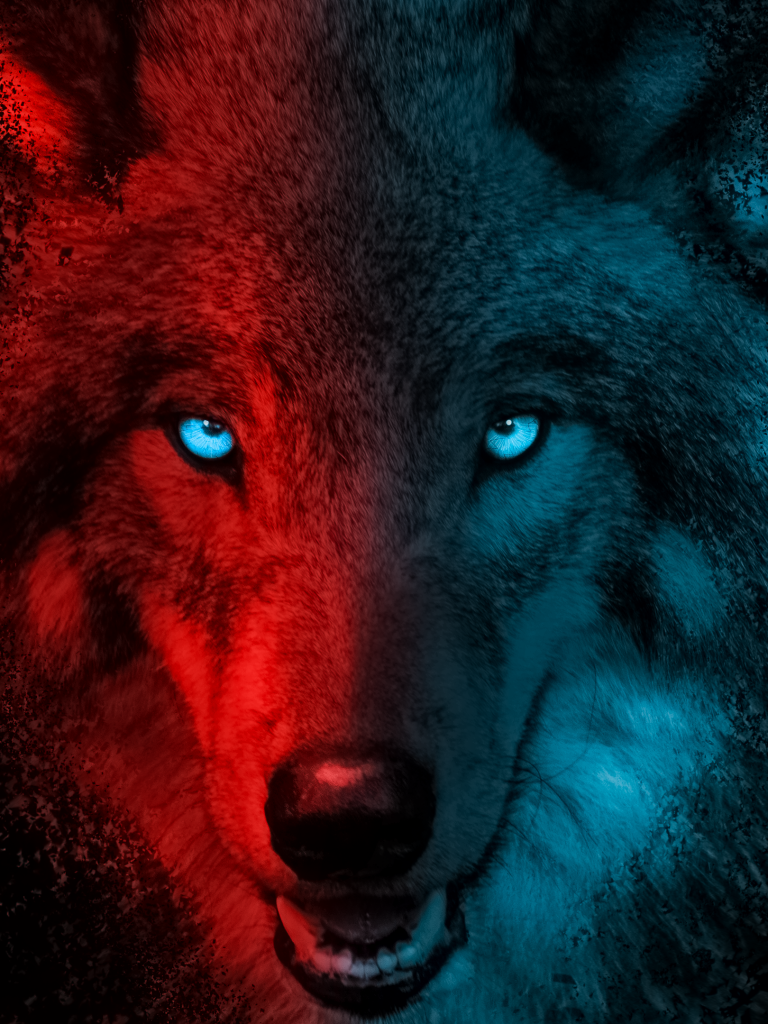 Wolf 4K Wallpaper, Scary, Gradient, Dark background, Animals, #4779