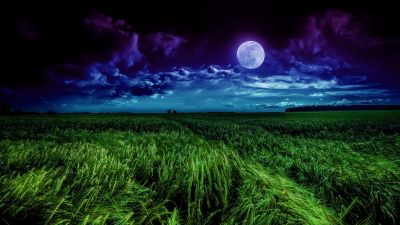 Moon, Landscape, Night, Field, Cloudy