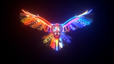Colorful Owl, Digital Art, Dark background, Colorful art, Dark aesthetic