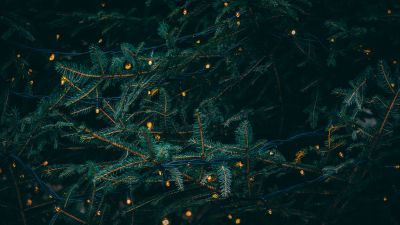 Pine trees, Decoration, LED lights, Christmas decoration, 5K, Aesthetic Christmas, Navidad, Noel
