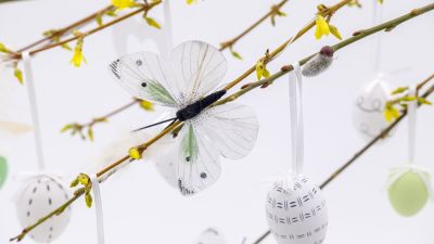 Easter eggs, Easter Decoration, White, Branches, Mayfly, 5K
