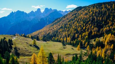 Landscape, Forest, Mountains, Sunny day, Autumn, 5K
