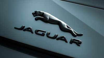 Jaguar, Logo, Pastel green, 5K, Matte