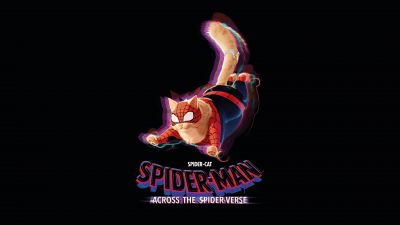 Spider-Cat, Spider-Man: Across the Spider-Verse, 5K, 8K, Black background