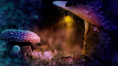 Mushroom house, Lantern, Teddy bear, Surreal, 5K