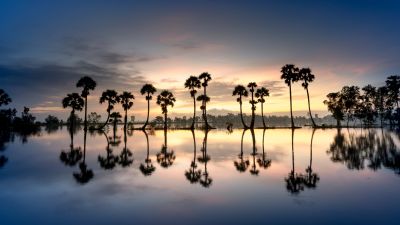 Palm trees, Silhouette, 8K, Reflection, Body of Water