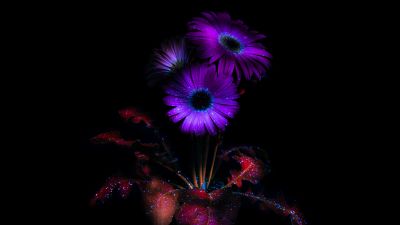 Purple Flowers, Glowing, AMOLED, 8K, Black background, Bloom, 5K, Darkness, Dark aesthetic, Ethereal