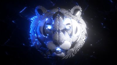Tiger, Majestic, Ferocious, Dark background