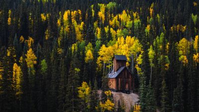 Colorado Boy Mine, Wooden cabin, Red Mountain Pass, 5K, Autumn, Pine trees