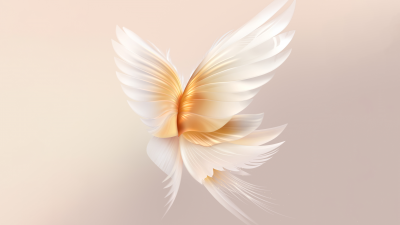 Angel wings, Peach background, Honor, Stock