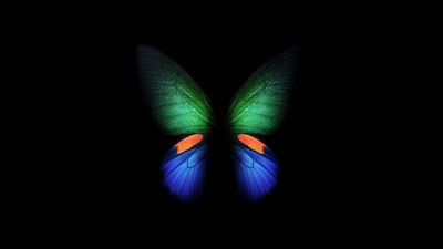 Butterfly, Samsung Galaxy Fold, Black background, Stock, Simple
