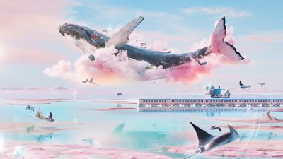 Dreamlike, Whale, Surrealism, Pink clouds, Surreal, Dream World, Dreamy