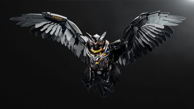 Asus, Owl, Digital Art, Dark background