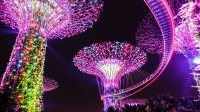 Supertree Grove, Lighting, Purple, Colorful lights, Garden, Night, Singapore, 5K