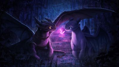 Night Fury, Light Fury, How to Train Your Dragon
