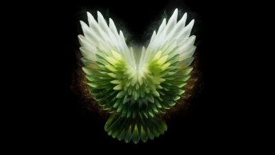 Angel wings, Green aesthetic, Tecno Phantom V Fold 2 Stock, Black background, AMOLED