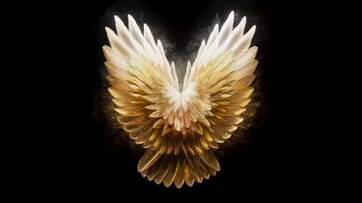 Angel wings, Golden yellow, AMOLED, Tecno Phantom V Fold 2 Stock, Black background