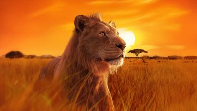 Mufasa, 5K, Mufasa: The Lion King, 2024 Movies