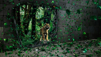 Tiger, Mystical Forest, Jungle, Surreal, Wildlife, Green leaves, Concrete, Portal, Dreamlike