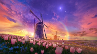 Tulips field, Windmill, Surrealism, Aesthetic, 5K, Sunset, Rainbow, Dreamy, Scenic