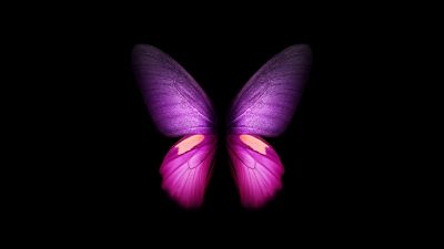 Purple Butterfly, Wings, Black background, Samsung Galaxy Fold, AMOLED, CGI, Girly, Stock