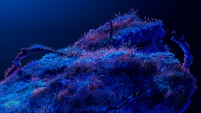 Bioluminescence, Neon art, Dreamy, Cosmos, Deep blue, Microsoft Design