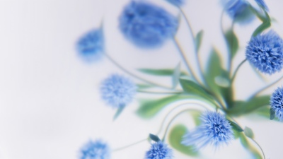Blue flowers, Soft focus, White background, Minimalist, Floral Background, Microsoft Design