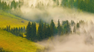 Misty, Forest, Green hills, Sunrise, Foggy forest, Landscape, Honor MagicBook Pro, Stock, 5K