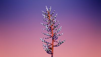 macOS Mojave, Stock, Floral, Gradient background, iOS 11, Aesthetic, 5K