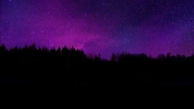 Trees, Silhouette, Purple sky, Dark background, Night sky, Stars, Dark aesthetic
