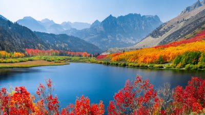 Autumn trees, Lake, Mountain range, Daytime, Landscape, Long exposure, Scenery, Beautiful, 5K