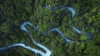 Forest, Road, Aerial view, Drone photo, Cold, Landscape