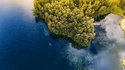Green Forest, Trees, Aerial view, Body of Water, Birds eye view, Lake, Landscape