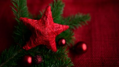 Red Star, Christmas decoration, Advent, Holidays, Christmas Season, Selective Focus, 5K