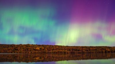 Aurora sky, Forest Trees, Body of Water, Reflection, Northern Lights, Aurora Borealis, Beautiful, Landscape, 5K