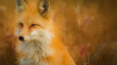 Fox, Oil Painting, Animal Portrait, Artwork, Wild animal, 5K