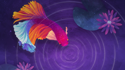 Colorful fish, Ripple, Purple background, Girly backgrounds