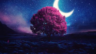 Aesthetic, Lone tree, Crescent Moon, Half moon, Starry sky, Night, Lake, Girly backgrounds, Night sky