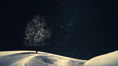 Lone tree, Crescent Moon, Night, Starry sky, Night sky, Winter, Cold, Surreal, 5K