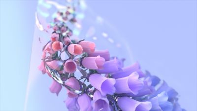 Colorful flowers, Digital flowers, Gradient background, Bloom