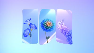 Spring flowers, Colorful flowers, Gradient background, Seasons