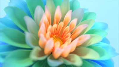 Colorful flowers, Closeup, Macro, Bloom, Digital Art