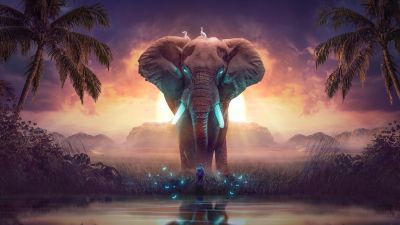 Elephant, Dream, Mysterious, Surreal, Landscape, Digital Art, Photo Manipulation, 5K
