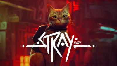 Stray, Stray cat, PC Games, PlayStation 4, PlayStation 5, 2022 Games