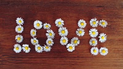 Love word, Daisy flowers, Typography, Wooden background