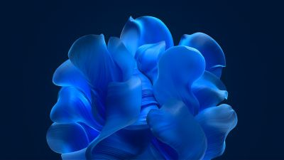 Windows 11, Bloom collection, Blue background, Blue abstract, 5K, 8K, Blue aesthetic
