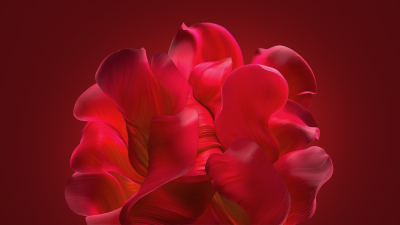 Windows 11, Bloom collection, Red background, Red abstract, Aesthetic