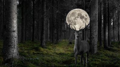 Deer, Moon, Surreal, Forest, Monochrome, 5K, 8K, Black and White