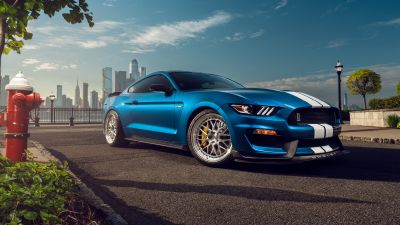 Ford Mustang Shelby GT350, 8K, Muscle sports cars, 5K